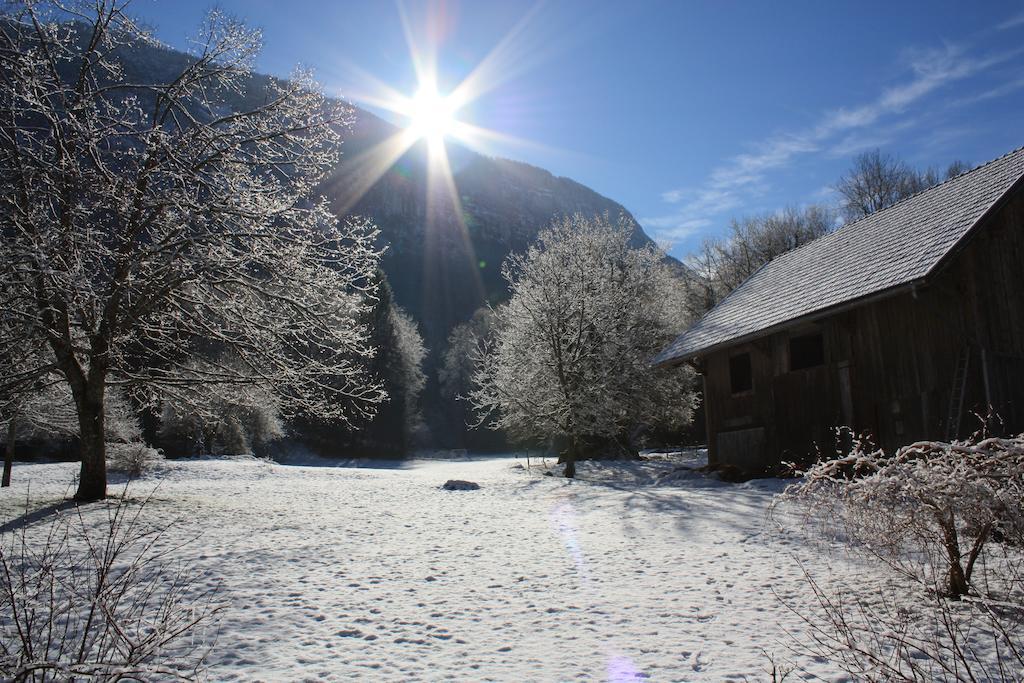 La Clairiere Du Moulin Bed & Breakfast Lepin-le-Lac Exterior foto